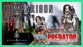 Prime 1 Predator Jungle Hunter DX 1/3 vs Big Game Cover Art Predator DX 1/4  Comparison Video