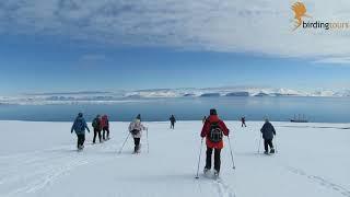 Vogelbeobachtung in Spitzbergen mit birdingtours