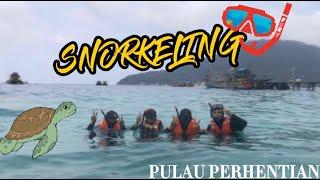 24 Jam Mandi Laut  | Snorkeling Jumpa Shark ??!