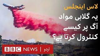 What is the bright pink liquid helping crews battle the LA wildfires? - BBC URDU