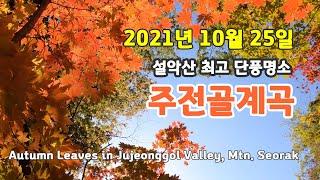 주전골 단풍 절정 / Autumn leaves in Jujeongol Valley, Mtn. Seorak / 설악산단풍 최고 명소 / 만경대 코스 / 만물상 / 용소폭포