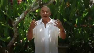 Forest Rock Qigong | How to do the Healing Codes | presented by Qi Gong Master Teacher Peter Caughey