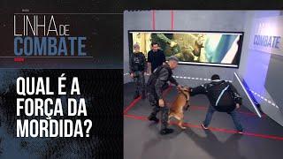 LINHA DE COMBATE | TEMPORADA 2 | EPISÓDIO 17 [Reapresentação]