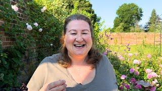 Climbing Roses, Sweet Peas, Feeding Roses, Ladybird larvae Pest Control / Garden Vlog