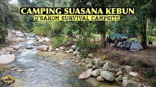 Camping Suasana Kebun | Air Sungai Bersih | D'Sahom Survival Campsite