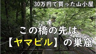 【30万円で買った別荘】たくさんのヒルに囲まれました。