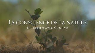 Conrad : La conscience de la nature