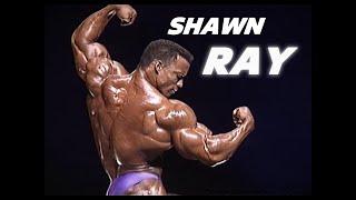 Pure Aesthetic - The ultimate Shawn Ray Motivation