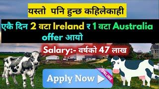 ireland working visa for nepali | how to apply ireland work visa from nepal | ireland kasari jane