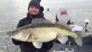 Release snoekbaars 92 cm