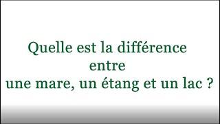 Quelle est la différence entre une mare, un étang et un lac ?