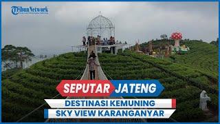 Destinasi Kemuning Sky View Karanganyar, Panorama Hijau Kebun Teh dan Jembatan Goyang