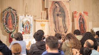 Walk with Mary | Camina con María | A Day of Devotion