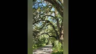 200 year old Town, in Florida! #florida #oldtowns #antique #halloween #halloween2022