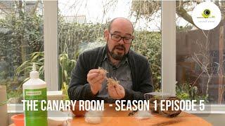 The Canary Room - Season 1 EPISODE  5