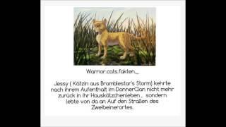 Warrior Cats Fakten ( Faktensammlung)