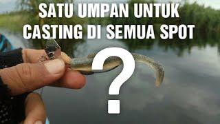 1 Umpan Casting Untuk Semua Spot Mancing