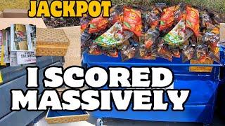 DUMPSTER DIVING - I SCORED MASSIVELY IN THE DUMPSTER!