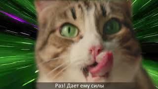 Секрет энергии кота бориса - Kitekat® (feat. Кот Борис)