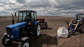 Посівна сої. Процес від А до Я. Технологія підготовки та посіву сої. Підготовка грунту-культивація.