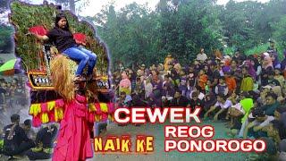 VIRAL  WANITA NAIK KE KEPALA REOG PONOROGO @jejesumberwins