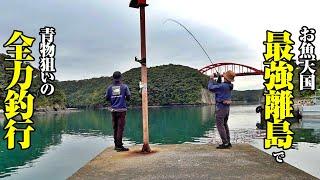 釣りバカ2名による全力釣り旅！！楽園堤防の爆釣にはじまり、ついに現れた磯の怪物…今回の旅も非常に濃密な内容となっております。