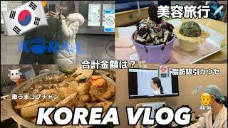 【金額公開】2泊3日韓国美容vlog#1脂肪吸引カウセ/美容院/激うまコプチャン/両替所