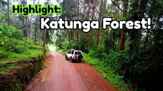   Scene Highlights: Katunga Forest, Machakos County