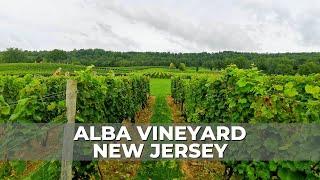 Alba Vineyard | Winery | A perfect spot for a Weekend | One of the Largest Wineries in New Jersey