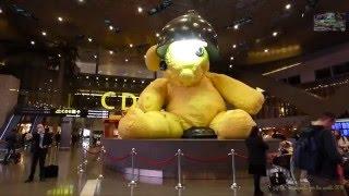 Hamad International Airport Doha Qatar  مطار حمد الدولي الدوحة قطر