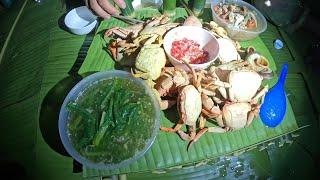 #798. Soi đêm theo con suối hoang dã, sinh tồn trong rừng