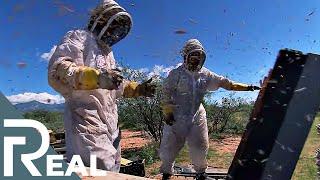 Killer Bee Removal Expert | Risk Takers | Episode 4 | FD Real Show