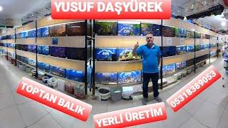 AKVARYUM BALIK ÇEŞİTLERİMİZ BİNLERCE BALİK TOPTAN