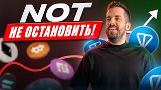 Почему NOTCOIN Ракетит на 44%? Как найти прибыльные токены в условиях страха на рынке?