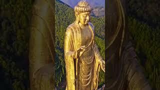 Namo Buddha ️  #shorts #video #buddha