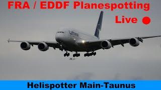 FRA LIVE  Sunny️ Planespotting ️