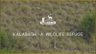 A Wildlife Refuge | Kalabagh Game Reserve