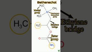 Bethanechol | Structure | Synthesis | SAR #bethanechol #medicinalchemistry #gpat #niper #chemistry