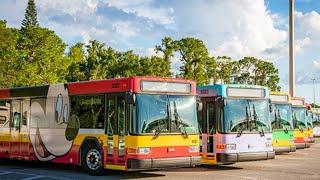 Disneys NEWEST buses! Animal kingdom Park Bus Loop| Walt Disney World Vlog June 2024 #disney #bus