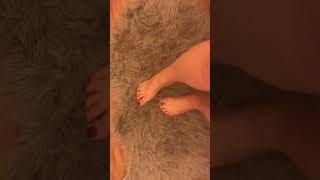 Feet   On a Soft Furry Rug 