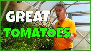 How to Grow Fantastic Tomatoes (10+1 TIPS)