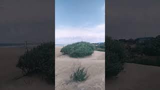 АНАПА, чудесный вид на море // 15 июня 2025 г.