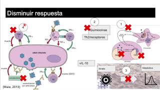 Inmunidad contra virus (2/2)