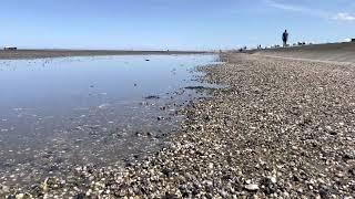 Nationalpark Niedersächsisches Wattenmeer/ Lower Saxony Wadden Sea National Park