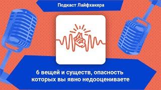 6 вещей и существ, опасность которых вы явно недооцениваете | Подкаст Лайфхакера