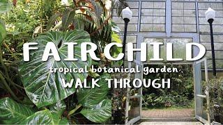 FAIRCHILD TROPICAL BOTANIC GARDENS WALK THROUGH!