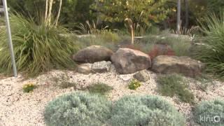 Wildlife and Kid Friendly Water Conserving Garden: Robert Leeper design