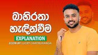 බාහිරතා හැඳින්වීම - 8th Lesson රාජ්‍ය ආර්ථිකය Economics || Lucky Chathuranga | A/L ECON