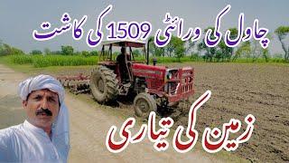 Rice Variety 1509  ki kashat kaisay ki jaye kitnay dino ki fasal hay?