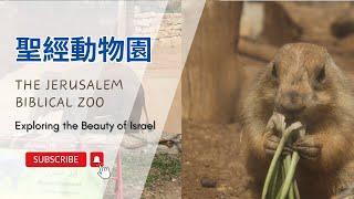 【以色列】耶路撒冷聖經動物園 | 亞洲旅遊 | Israel Travel | 自助旅行 | 行腳紀錄